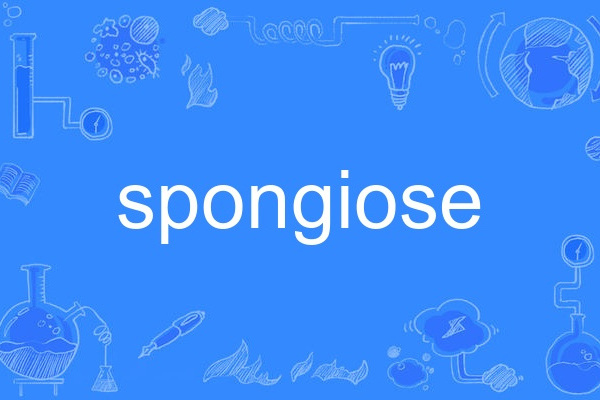 spongiose