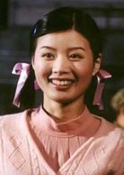 追日(2004年鄭方南執導電視劇)