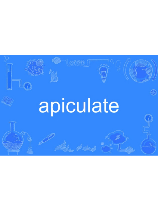 apiculate