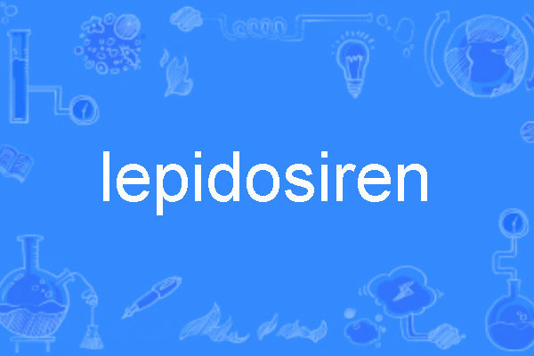 lepidosiren lepidosiren