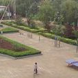 夏謝五村 夏謝五村
