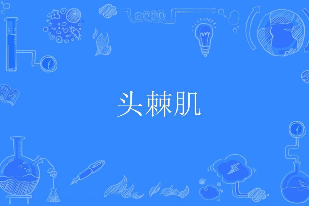 頭棘肌 頭棘肌