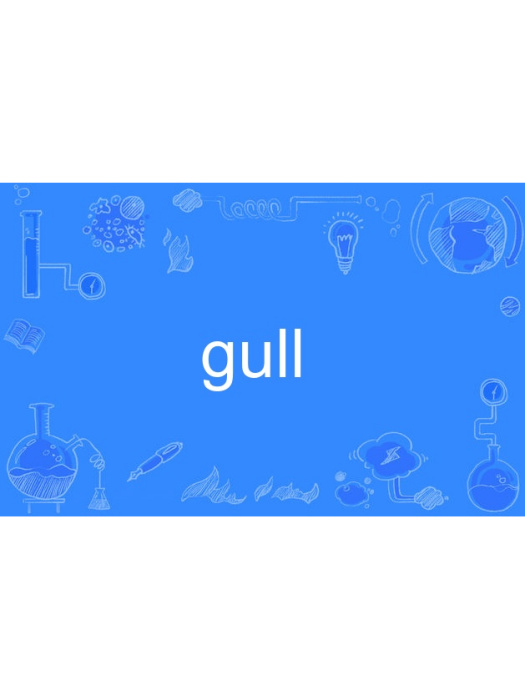 gull gull