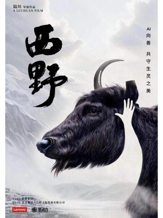 西野(陸川執導拍攝的紀錄片) 西野(陸川執導拍攝的紀錄片)