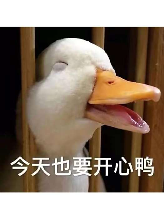 夏風(自媒體創作者)