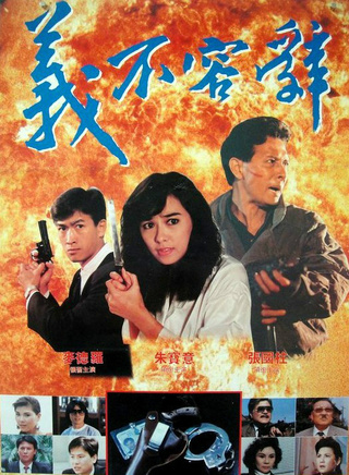 朱寶意