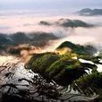 茗上村 茗上村
