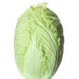 長興白菜 長興白菜