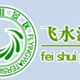 飛水漂流