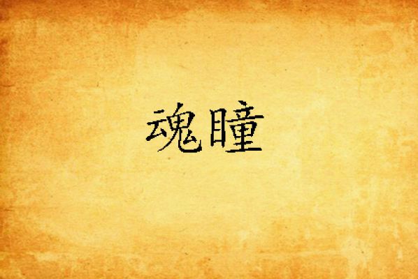 魂瞳(辰宇谷創作的異世大陸小說作品) 魂瞳(辰宇谷創作的異世大陸小說作品)