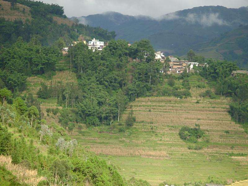 上折東村