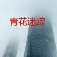 青花迷蹤 青花迷蹤