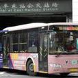 廣州公交B20
