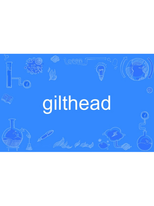 gilthead gilthead