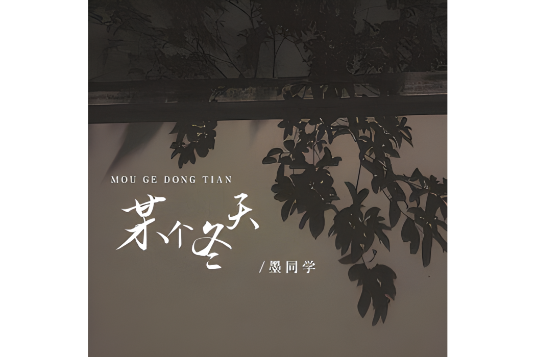 某個冬天
