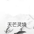天芒靈境 天芒靈境