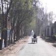 義和莊村(河北省滄州市下轄村) 義和莊村(河北省滄州市下轄村)