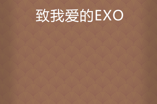 致我愛的EXO 致我愛的EXO