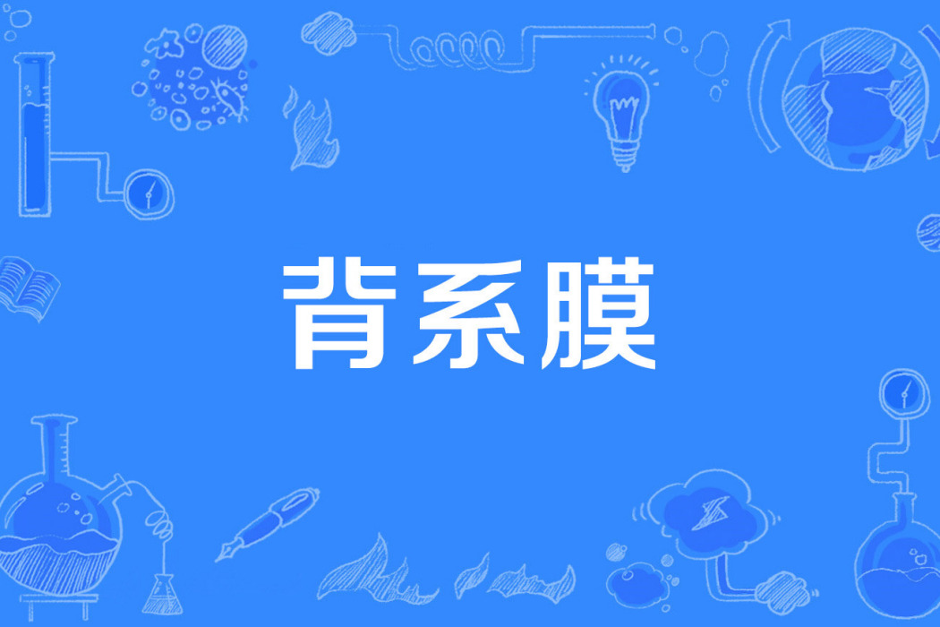 背系膜 背系膜