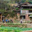 長橋村(雲南省曲靖師宗縣丹鳳鎮下轄村) 長橋村(雲南省曲靖師宗縣丹鳳鎮下轄村)