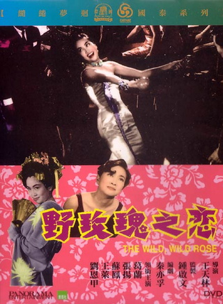 王天林