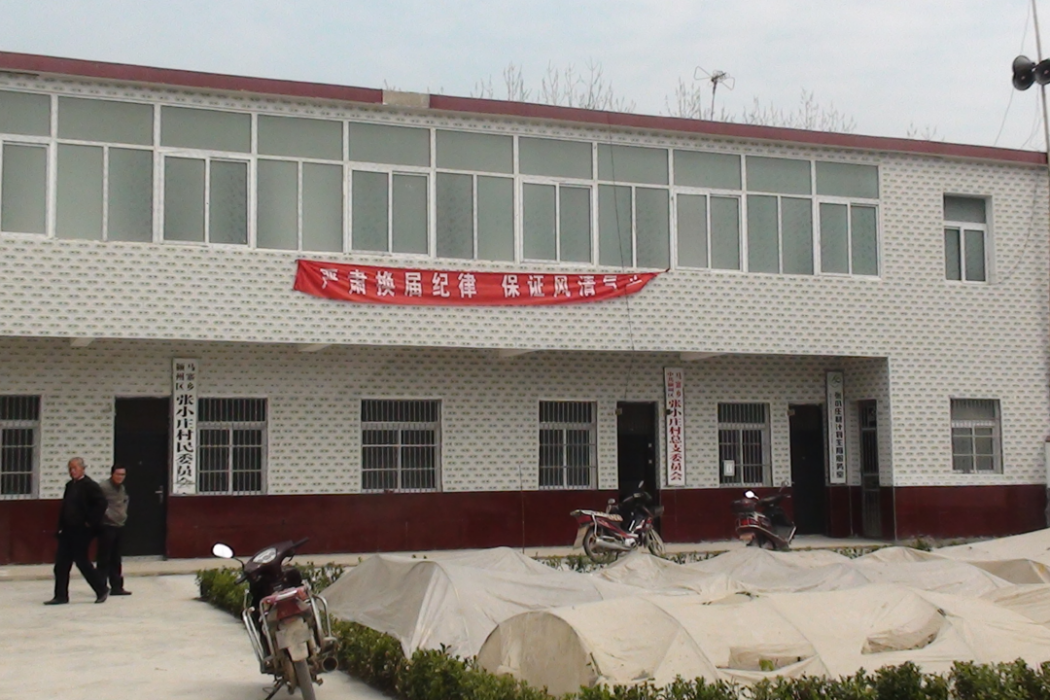 小莊只村 小莊只村