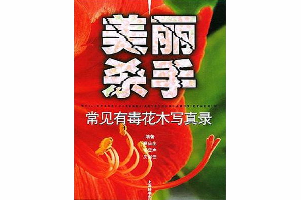 美麗殺手 美麗殺手