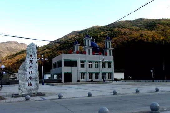 聶家溝村(陝西省商洛市鎮安縣西口回族鎮聶家溝村) 聶家溝村(陝西省商洛市鎮安縣西口回族鎮聶家溝村)