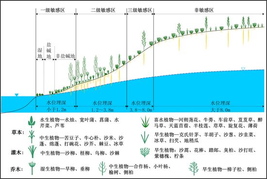 演替系列