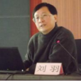 劉羽(地質學家) 劉羽(地質學家)