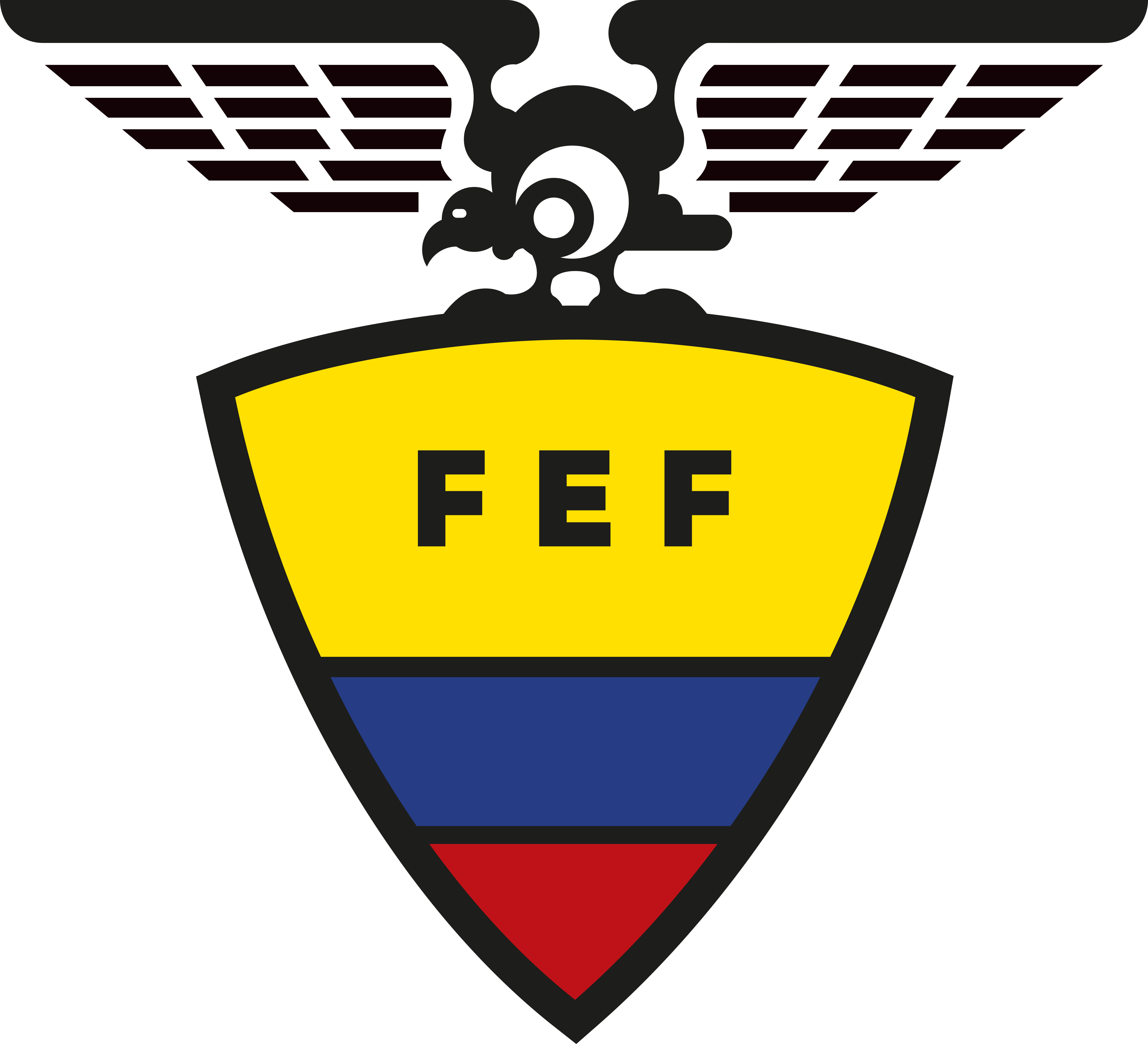 厄瓜多足球協會
