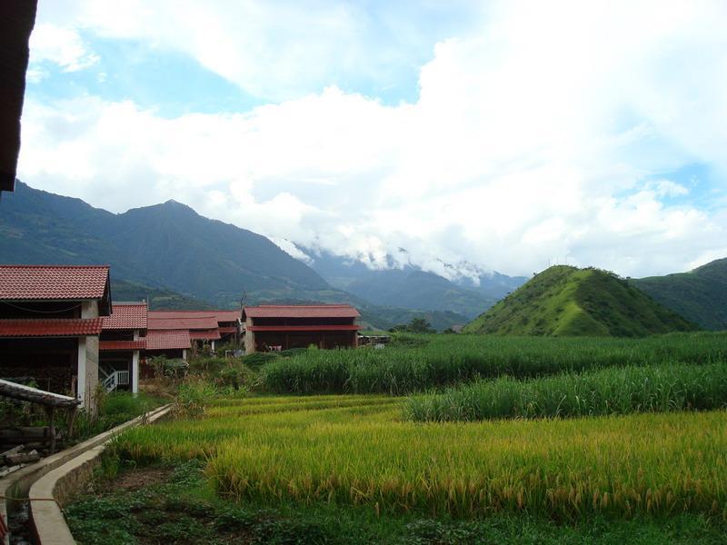 賽林村 賽林村