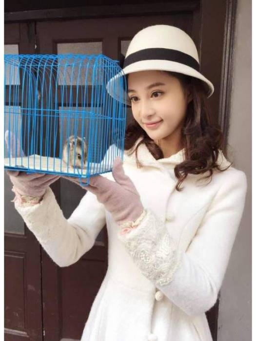 丹丹(《孤戰》中的角色) 丹丹(《孤戰》中的角色)