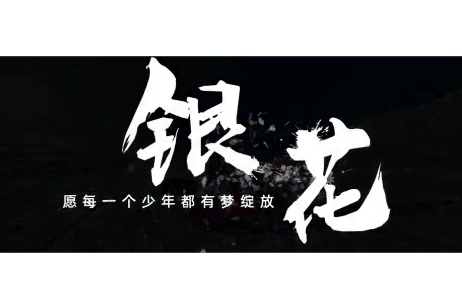 銀花(中國青年報聯合優酷出品的冰雪紀錄片) 銀花(中國青年報聯合優酷出品的冰雪紀錄片)