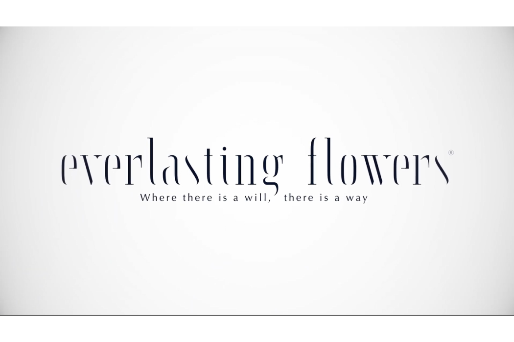 Everlasting Flowers Everlasting Flowers
