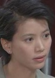 法內情2002(法內情（2002年黃日華主演電視劇）)