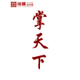 掌天下 掌天下
