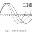 人體生理周期 人體生理周期