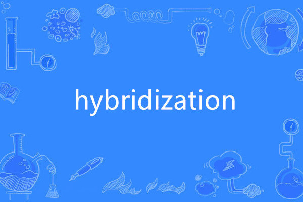 hybridization hybridization