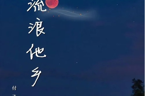 流浪他鄉 流浪他鄉