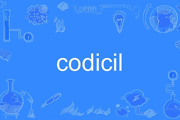 codicil codicil
