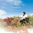 生命花園 生命花園