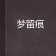 夢留痕(小說) 夢留痕(小說)