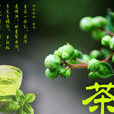 中華民族茶文化歷博覽園