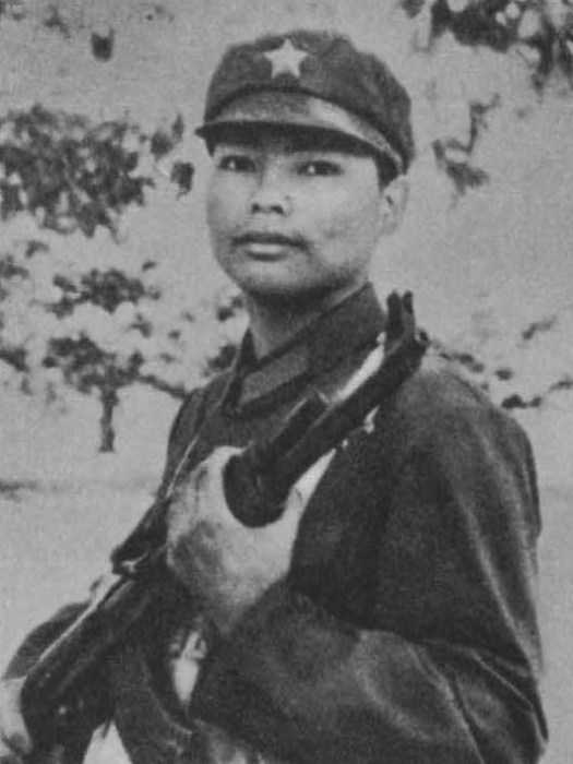王叢林(河南林州籍革命烈士) 王叢林(河南林州籍革命烈士)