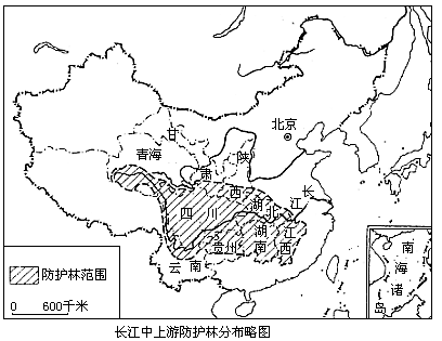 長江防護林