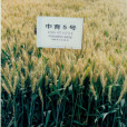 中育5號 中育5號