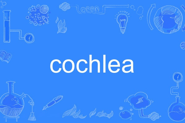 cochlea cochlea