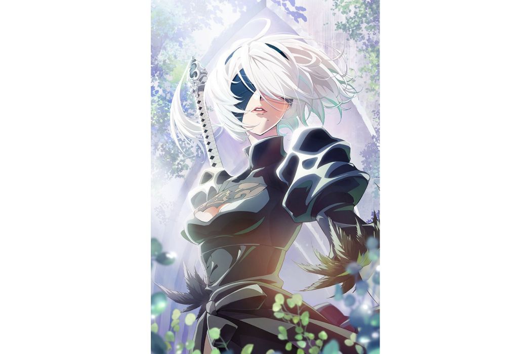 2b(動畫《NieR:Automata Ver1.1a》中的角色) 2b(動畫《NieR:Automata Ver1.1a》中的角色)
