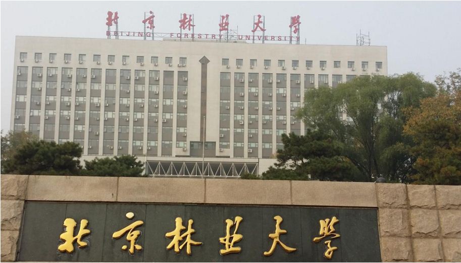 北京林業大學(北京林業大學簡稱)